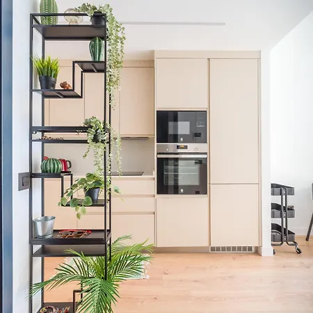 Damas 1c * 大加那利岛拉斯帕尔马斯