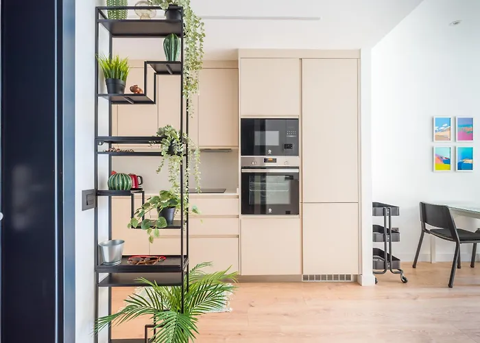 Damas 1c * 大加那利岛拉斯帕尔马斯