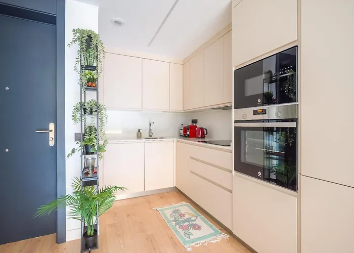 Damas 1c * Las Palmas de Gran Canárias